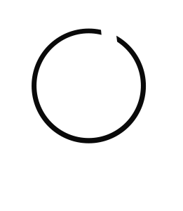 Primary Raster logo